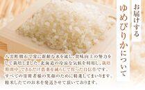 【先行受付】【5回定期便】北海道八雲町熊石産 ゆめぴりか(精白米) 10kg(5kg×2袋)　(令和7年産)【 米 お米 新米 ゆめぴりか 精白米 定期便 5kg×2袋 10kg 食品 グルメ お取り寄せ お取り寄せグルメ  八雲町 北海道 】