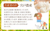 【先行受付】【5回定期便】北海道八雲町熊石産 ゆめぴりか(精白米) 10kg(5kg×2袋)　(令和7年産)【 米 お米 新米 ゆめぴりか 精白米 定期便 5kg×2袋 10kg 食品 グルメ お取り寄せ お取り寄せグルメ  八雲町 北海道 】