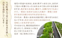 【先行受付】【5回定期便】北海道八雲町熊石産 ゆめぴりか(精白米) 10kg(5kg×2袋)　(令和7年産)【 米 お米 新米 ゆめぴりか 精白米 定期便 5kg×2袋 10kg 食品 グルメ お取り寄せ お取り寄せグルメ  八雲町 北海道 】