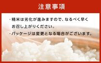 【先行受付】【5回定期便】北海道八雲町熊石産 ゆめぴりか(精白米) 10kg(5kg×2袋)　(令和7年産)【 米 お米 新米 ゆめぴりか 精白米 定期便 5kg×2袋 10kg 食品 グルメ お取り寄せ お取り寄せグルメ  八雲町 北海道 】