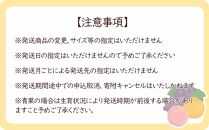 全12回 和歌山 厳選 定期便 熊野牛 フルーツ 梅酒 12か月 毎月発送【MG61】