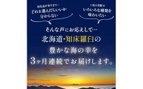 3か月連続定期便 羅臼産厳選 海産物 定期便 ホッケ ほっけ 干物 魚 イカ いか おつまみ いくら イクラ 秋鮭 ご飯のお供 北海道 羅臼町