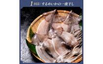 3か月連続定期便 羅臼産厳選 海産物 定期便 ホッケ ほっけ 干物 魚 イカ いか おつまみ いくら イクラ 秋鮭 ご飯のお供 北海道 羅臼町