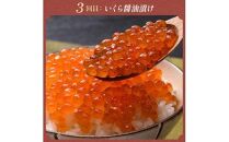 3か月連続定期便 羅臼産厳選 海産物 定期便 ホッケ ほっけ 干物 魚 イカ いか おつまみ いくら イクラ 秋鮭 ご飯のお供 北海道 羅臼町