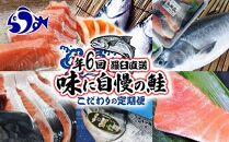 年6回　羅臼直送　味に自慢の鮭（サーモン）こだわりの定期便 生産者 支援 応援