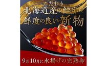 【定期便】全3回！北海道産 いくら（鮭卵）醤油漬け 大容量500g（250g×2パック） イクラ いくら丼 秋鮭 小分け 羅臼町 北海道 生産者 支援 応援