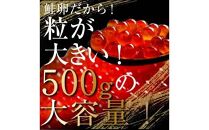 【定期便】全3回！北海道産 いくら（鮭卵）醤油漬け 大容量500g（250g×2パック） イクラ いくら丼 秋鮭 小分け 羅臼町 北海道 生産者 支援 応援