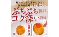 【定期便】全3回！北海道産 いくら（鮭卵）醤油漬け 大容量500g（250g×2パック） イクラ いくら丼 秋鮭 小分け 羅臼町 北海道 生産者 支援 応援