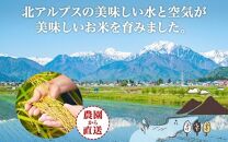 令和6年産 コシヒカリ 無洗米 10kg×1袋 長野県産 米 白米 精米 お米 ごはん ライス 甘み 農家直送 産直 信州 人気 ギフト 時短 お取り寄せ 平林農園 送料無料 長野県 大町市