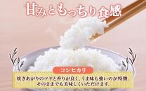 令和6年産 コシヒカリ 白米 5kg×1袋 長野県産 米 精米 お米 ごはん ライス 甘み 農家直送 産直 信州 人気 ギフト お取り寄せ 平林農園 送料無料 長野県 大町市