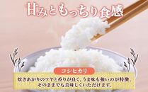 令和6年産 コシヒカリ 白米 10kg×1袋 長野県産 米 精米 お米 ごはん ライス 甘み 農家直送 産直 信州 人気 ギフト お取り寄せ 平林農園 送料無料 長野県 大町市