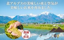 令和6年産 コシヒカリ 白米 10kg×1袋 長野県産 米 精米 お米 ごはん ライス 甘み 農家直送 産直 信州 人気 ギフト お取り寄せ 平林農園 送料無料 長野県 大町市