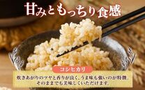 令和6年産 コシヒカリ 玄米 5kg×1袋 長野県産 米 お米 ごはん ライス 低GI 甘み 農家直送 産直 信州 人気 ギフト お取り寄せ 平林農園 送料無料 長野県 大町市