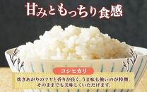 令和6年産 コシヒカリ 5分づき米 5kg×1袋 長野県産 米 お米 ごはん ライス 分つき米 農家直送 産直 信州 人気 ギフト お取り寄せ 平林農園 送料無料 長野県 大町市