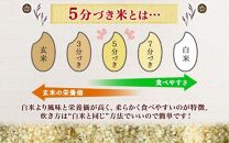 令和6年産 コシヒカリ 5分づき米 5kg×1袋 長野県産 米 お米 ごはん ライス 分つき米 農家直送 産直 信州 人気 ギフト お取り寄せ 平林農園 送料無料 長野県 大町市