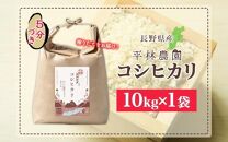 令和6年産 コシヒカリ 5分づき米 10kg×1袋 長野県産 米 お米 ごはん ライス 分つき米 農家直送 産直 信州 人気 ギフト お取り寄せ 平林農園 送料無料 長野県 大町市