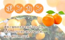 家庭用 森本農園の手選別 ポンカン 5kg  +200g傷み補償付 和歌山県産 サイズ混合 【北海道・沖縄・離島配送不可】【RN12】