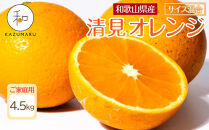 家庭用&nbsp;森本農園の手選別&nbsp;清見オレンジ&nbsp;4.5kg&nbsp;和歌山県産&nbsp;サイズ混合&nbsp;［北海道・沖縄・離島配送不可］［RN22］［2026年2月上旬から5月中旬頃順次発送予定］