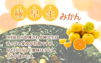訳あり&nbsp;森本農園の手選別&nbsp;極早生みかん2kg&nbsp;和歌山県産&nbsp;2S~2Lサイズ混合&nbsp;［北海道・沖縄・離島配送不可］［RN3］［2025年10月上旬から順次発送］