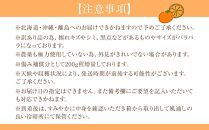 訳あり 森本農園の手選別 みかん 10kg +200g傷み補償付 和歌山県産 2S~2Lサイズ混合 【北海道・沖縄・離島配送不可】【RN10】