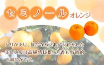 家庭用 森本農園の手選別 セミノールオレンジ 2kg +200g傷み補償付 和歌山県産 サイズ混合 【北海道・沖縄・離島配送不可】【RN26】