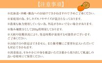 家庭用 森本農園の手選別 極早生みかん 2kg +200g傷み補償付 和歌山県産 2S~2Lサイズ混合 【北海道・沖縄・離島配送不可】【RN1】