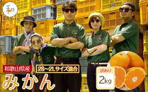 訳あり&nbsp;森本農園の手選別&nbsp;みかん&nbsp;2kg&nbsp;和歌山県産&nbsp;2S~2Lサイズ混合&nbsp;［北海道・沖縄・離島配送不可］［RN8］［2025年11月上旬から順次発送］