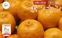 家庭用 森本農園の手選別 ポンカン 2kg +200g傷み補償付 和歌山県産 サイズ混合 【北海道・沖縄・離島配送不可】【RN11】