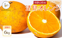 訳あり 森本農園の手選別 清見オレンジ 6kg 和歌山県産 サイズ混合 ［北海道・沖縄・離島配送不可］［RN24］［2026年2月上旬から5月中旬頃順次発送予定］