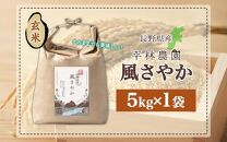 令和6年産 風さやか 玄米 5kg×1袋 長野県産 米 お米 ごはん ライス 低GI 甘み 農家直送 産直 信州 人気 ギフト お取り寄せ 平林農園 送料無料 長野県 大町市