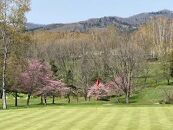 【旭川ゴルフ倶楽部】全日セルフプレー券お食事付（1品）　16ラウンド分【 ゴルフ券 ゴルフプレー ゴルフ場利用券 ゴルフラウンド ゴルフ体験 北海道ゴルフ 旭川ゴルフ ゴルフ場 旭川観光 旭川レジャー 旭川アウトドア 北海道レジャー 北海道アウトドア 北海道 旭川 】_03907