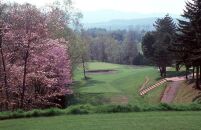 【旭川ゴルフ倶楽部】全日セルフプレー券お食事付（1品）　16ラウンド分　+　オウンネームボール1ダース【 ゴルフ券 ゴルフプレー ゴルフ場利用券 ゴルフラウンド ゴルフ体験 北海道ゴルフ 旭川ゴルフ ゴルフ場 旭川観光 旭川レジャー 旭川アウトドア 北海道レジャー 北海道アウトドア 北海道 旭川 】_03906