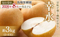 【2026年先行予約／馬場果樹園】梨「幸水」約3kg（5～8玉入）8月中旬～順次発送