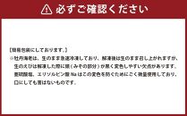 ボタンエビ500g(25尾前後)【 えび エビ 海老 ボタンエビ 牡丹海老 魚介 魚介類 海鮮 冷凍 食品 グルメ お取り寄せ 八雲町 北海道 年内発送 年内配送 】