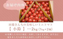 田淵さんちの美味しいミニトマト小鈴 2kg（1.0kg×2箱）