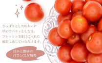 田淵さんちの美味しいミニトマト小鈴 2kg（1.0kg×2箱）