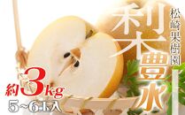 梨「豊水」約3kg（5～6玉入）【松崎果樹園】