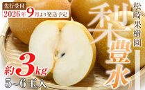 【2026年発送／先行予約】梨「豊水」約3kg（5～6玉入）【松崎果樹園】