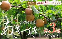 【2026年発送／先行予約】梨「あきづき」約3kg（5～6玉入）【松崎果樹園】