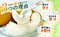 【2026年発送／先行予約】梨「あきづき」約3kg（5～6玉入）【松崎果樹園】