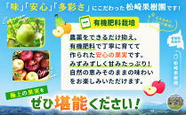 【2026年発送／先行予約】梨「あきづき」約4kg（6～8玉入）【松崎果樹園】