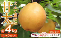 【2026年発送／先行予約】梨「甘太」約4kg（4～6玉入）10月中旬～順次発送【松崎果樹園】