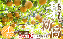 【2026年発送／先行予約】梨「新高」約4kg（4～6玉入）【松崎果樹園】