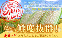 【26年発送先行予約】あさひやま動物園しろくまコーン&nbsp;8本（約3.2kg）2026年8月下旬から発送開始予定&nbsp;【&nbsp;とうもろこし&nbsp;人気&nbsp;北海道&nbsp;糖度&nbsp;野菜&nbsp;白いとうもろこし&nbsp;白いスイートコーン&nbsp;産地直送&nbsp;ホワイトレディ&nbsp;コーン&nbsp;玉蜀黍&nbsp;旬&nbsp;お取り寄せ&nbsp;旭川市&nbsp;北海道&nbsp;】　_03811