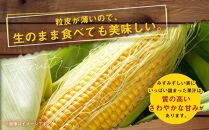 【先行予約】あさひやま動物園ライオンコーン約3.2kg(ゴールドラッシュ8本)2025年8月下旬～発送開始予定 【 とうもろこし 人気 北海道 糖度 野菜 スイートコーン 産地直送 ゴールドラッシュ コーン 旬 お取り寄せ 旭川市 北海道 送料無料 】_03812