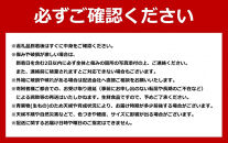 【2026年先行予約】露地物朝採りアスパラ　鮮度保持フィルム入り　2～3L　600g(5月中旬発送開始予定)&nbsp;【&nbsp;アスパラ&nbsp;アスパラガス&nbsp;朝採り&nbsp;とれたて&nbsp;野菜&nbsp;旬&nbsp;小分け&nbsp;保存&nbsp;産直&nbsp;産地直送&nbsp;お取り寄せ&nbsp;旭川市&nbsp;北海道&nbsp;】_03816