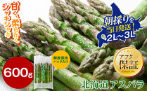 【2027年先行予約】露地物朝採りアスパラ　鮮度保持フィルム入り　2～3L　600g（5月中旬発送開始予定）【&nbsp;アスパラ&nbsp;アスパラガス&nbsp;朝採り&nbsp;とれたて&nbsp;野菜&nbsp;旬&nbsp;小分け&nbsp;保存&nbsp;産直&nbsp;産地直送&nbsp;お取り寄せ&nbsp;旭川市&nbsp;北海道&nbsp;】_03816