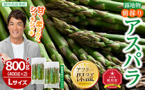 【2026年先行予約】露地物朝採りアスパラ　鮮度保持フィルム入り　Lサイズ　400g×2　合計800g(5月中旬発送開始予定) 【 アスパラ アスパラガス 朝採り とれたて 野菜 旬 小分け 保存 産直 産地直送 お取り寄せ 旭川市 北海道 】_03818