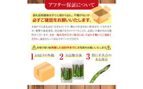 【2026年先行予約】露地物朝採りアスパラ　鮮度保持フィルム入り　Lサイズ　400g×2　合計800g(5月中旬発送開始予定)&nbsp;【&nbsp;アスパラ&nbsp;アスパラガス&nbsp;朝採り&nbsp;とれたて&nbsp;野菜&nbsp;旬&nbsp;小分け&nbsp;保存&nbsp;産直&nbsp;産地直送&nbsp;お取り寄せ&nbsp;旭川市&nbsp;北海道&nbsp;】_03818