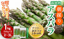 【2026年先行予約】露地物朝採りアスパラ　鮮度保持フィルム入り　2～3L　500g×2　合計1kg(5月中旬発送開始予定)&nbsp;【&nbsp;アスパラ&nbsp;アスパラガス&nbsp;朝採り&nbsp;とれたて&nbsp;野菜&nbsp;旬&nbsp;小分け&nbsp;保存&nbsp;産直&nbsp;産地直送&nbsp;お取り寄せ&nbsp;旭川市&nbsp;北海道&nbsp;】_03817
